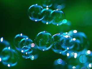 micro photography of bubbles HD wallpaper